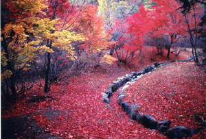 BlogPic