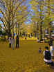 BlogPic