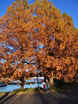 BlogPic