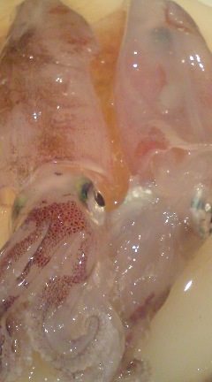 BlogPic