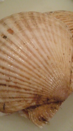 BlogPic