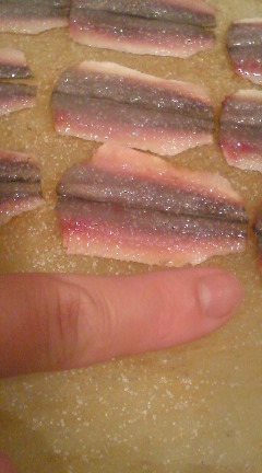 BlogPic