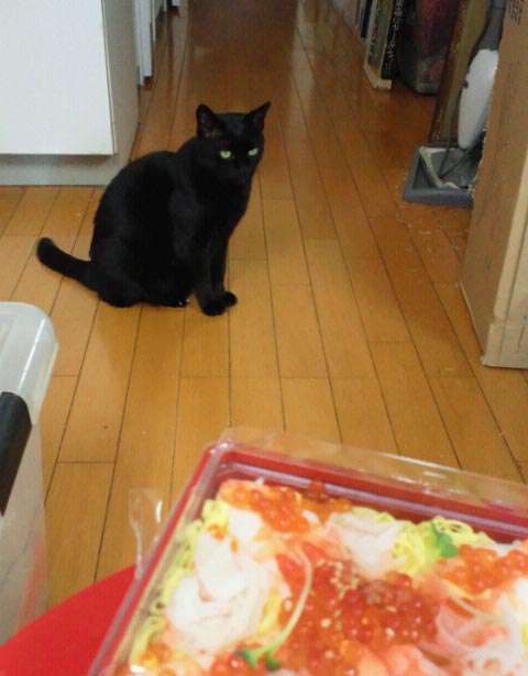 BlogPic