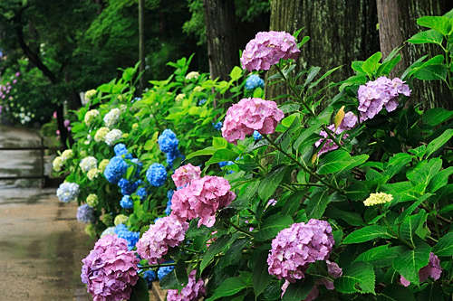 BlogPic