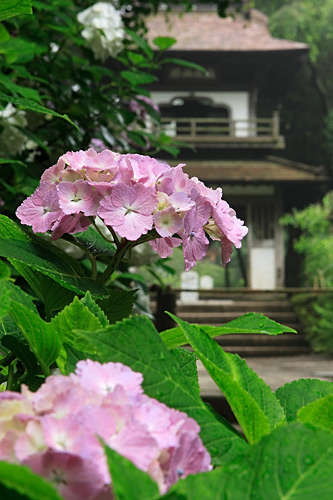 BlogPic